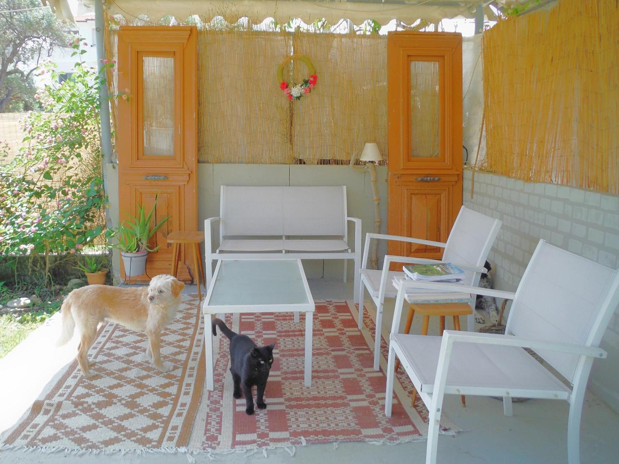 Port Rooms Λιμένας Εξωτερικό φωτογραφία